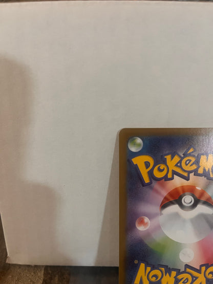 PONCHO PIKACHU CHARIZARD X, JPN PROMO #207/XY-P