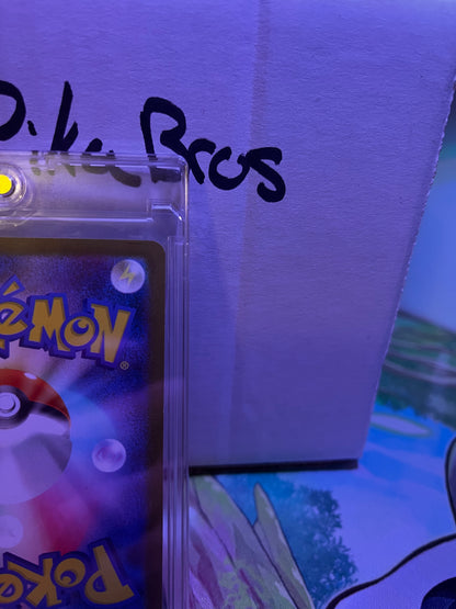 Pokemon TCG Poncho-Wearing Pikachu Charizard 208/XY-P XY-P JP Promo Holo 2016